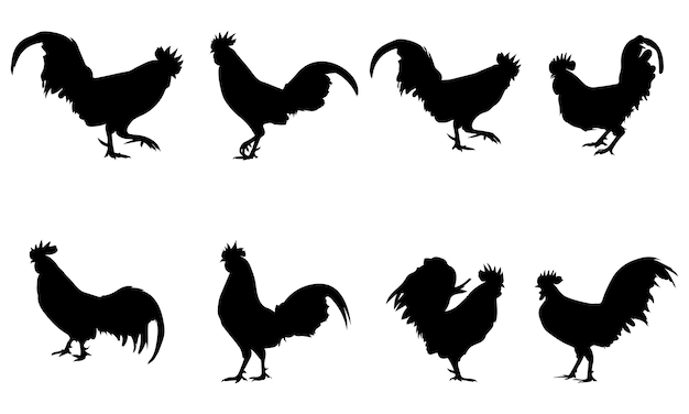 Colección de siluetas de gallo en Vector Premium