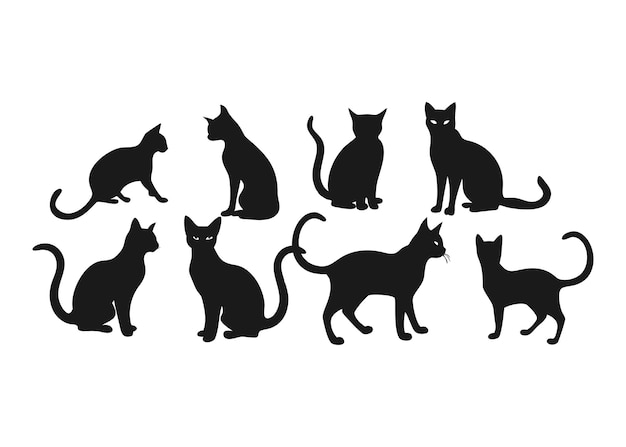 Colección de siluetas de gatos negros en varias poses
