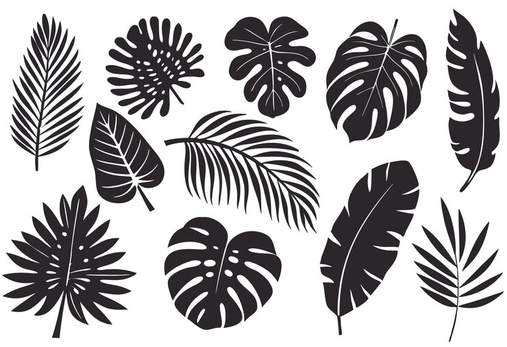 Colección de siluetas de hojas tropicales blancas y negras