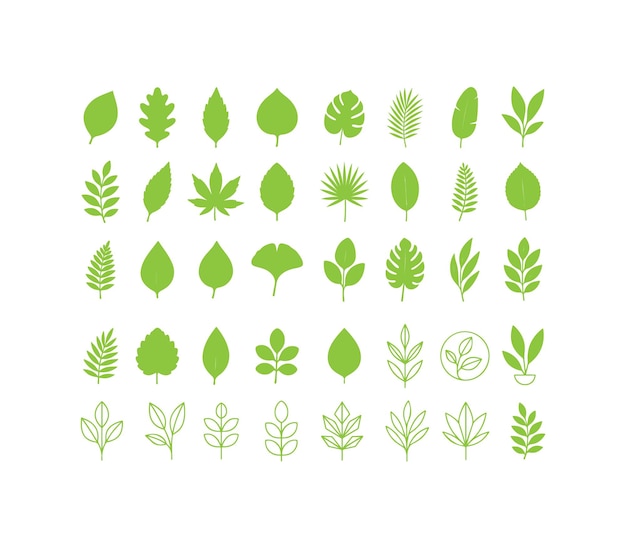 Colección de siluetas de hojas verdes para conceptos botánicos y ecológicos