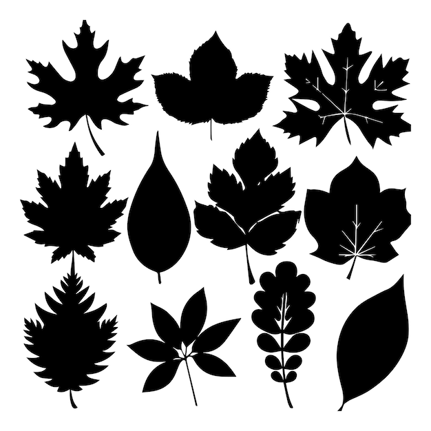 Colección de siluetas de hojas
