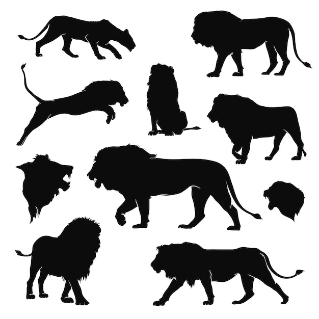 colección de siluetas de leones africanos. León de ilustración vectorial aislado sobre fondo blanco