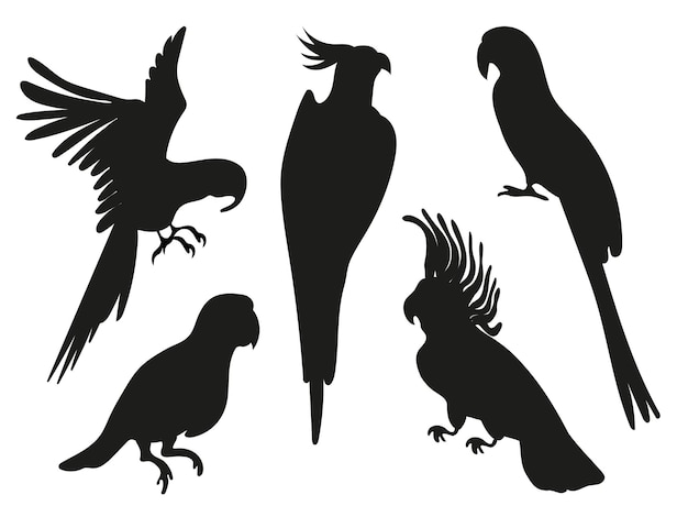 Colección de siluetas de loro aisladas sobre un fondo blanco Siluetas vectoriales de loro de la selva amazónica