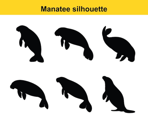 Colección de siluetas de manatí