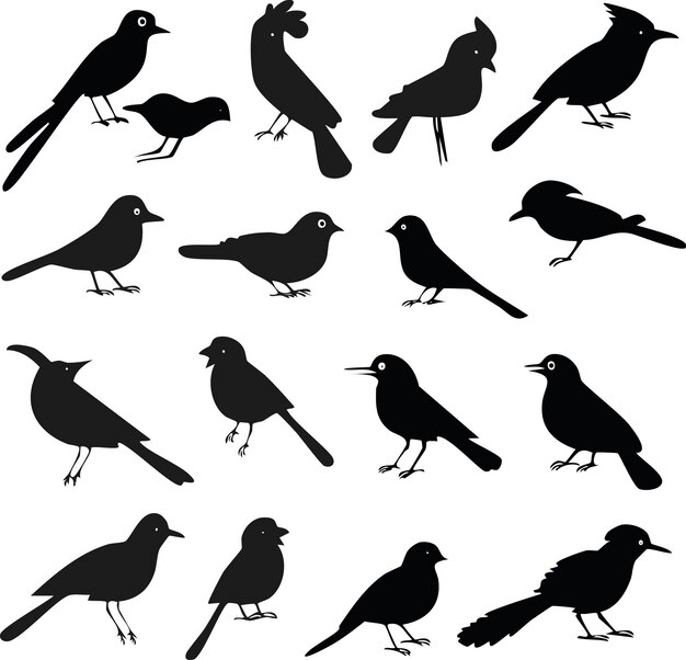 Colección de siluetas negras de aves con fondo blanco aislado