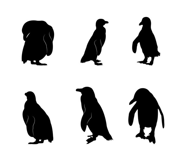 Colección de siluetas negras de pingüinos