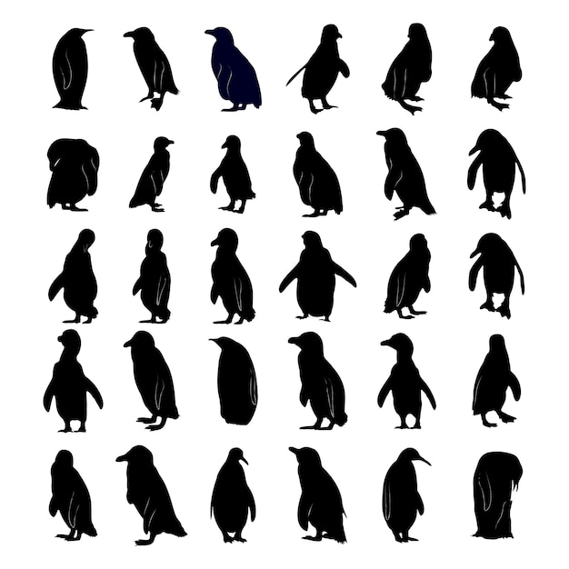 Vector colección de siluetas negras de pingüinos