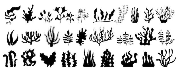 Colección de siluetas negras que representan varios tipos de algas y corales ideales para ilustrar