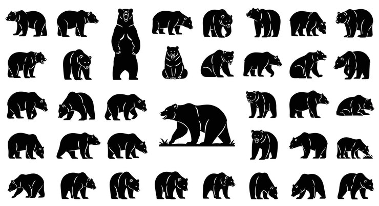 Colección de siluetas de oso negro