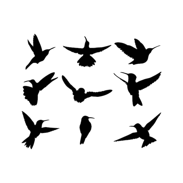Colección de siluetas de pájaros de los íconos de la naturaleza
