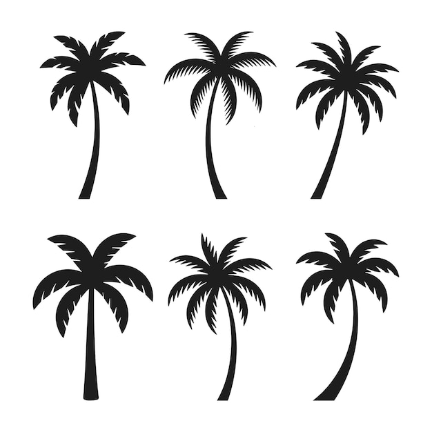 Colección de siluetas de palmeras Set de vectores de naturaleza de playas tropicales