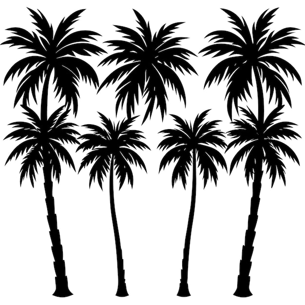 Colección de siluetas de palmeras