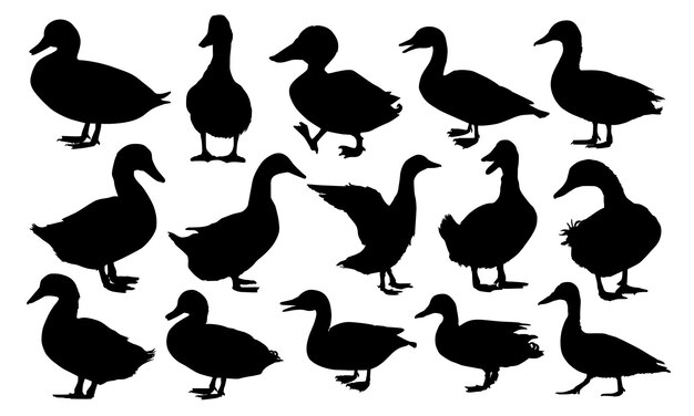 Colección de siluetas de patos en varias poses