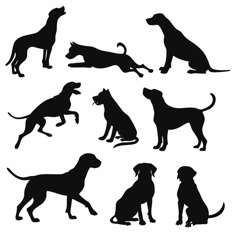 Colección de siluetas de perros en varias poses