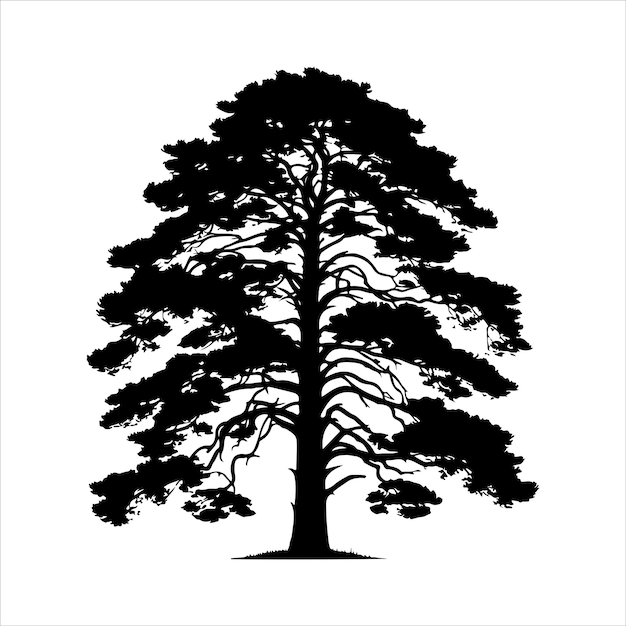 Colección de siluetas de pinos siluetas vintage de árboles forestales ilustración vectorial