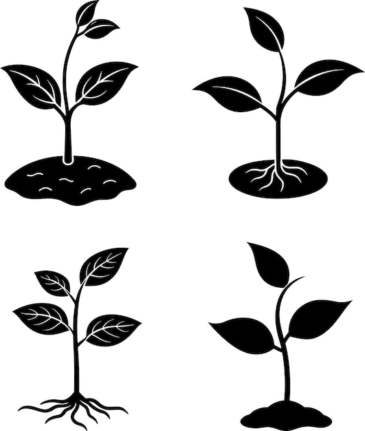 Una colección de siluetas de plantas blancas y negras