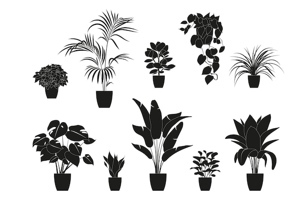 Colección de siluetas de plantas de interior en color negro. plantas en macetas aisladas en blanco. establecer plantas tropicales verdes. decoración moderna para el hogar con plantas de interior, jardineras, hojas tropicales.