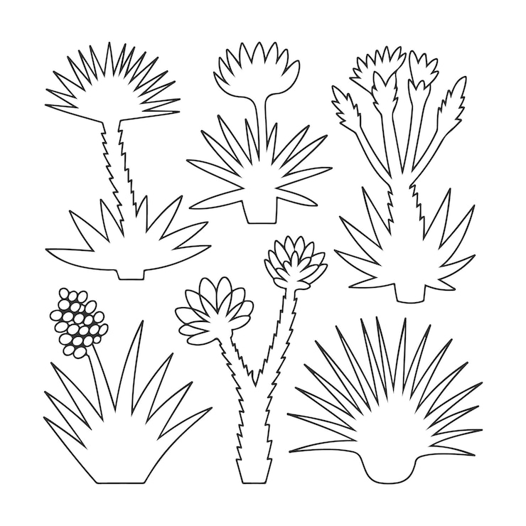 Vector colección de siluetas de plantas de maguey siluetas de vectores premium