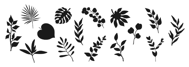 Colección de siluetas de plantas Ramas, hojas y elementos botánicos