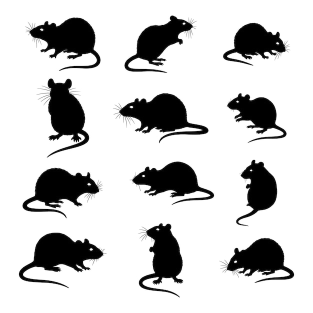 Colección de siluetas de ratas negras para varios proyectos de diseño