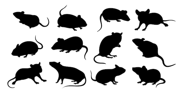 Una colección de siluetas de ratas sobre un fondo blanco.