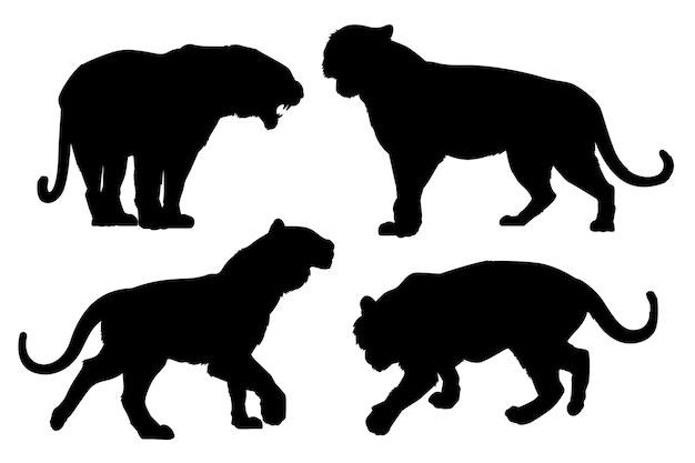 Colección de siluetas de tigre dibujadas a mano