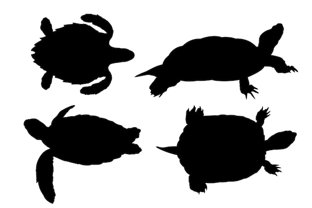 Vector colección de siluetas de tortugas dibujadas a mano