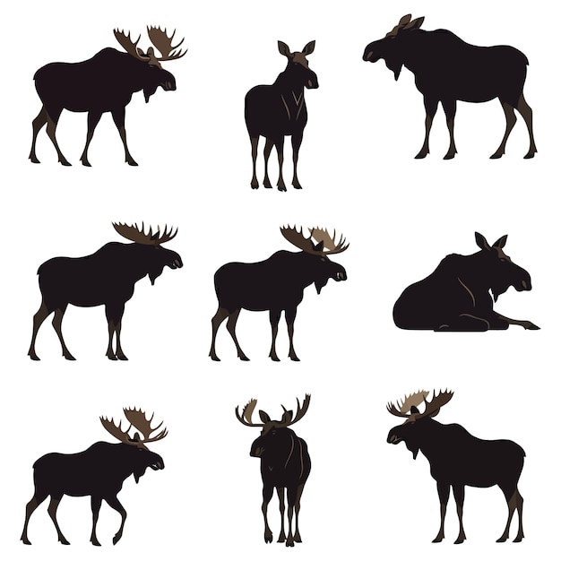 Una colección de siluetas Vector salvaje plano más animales del bosque