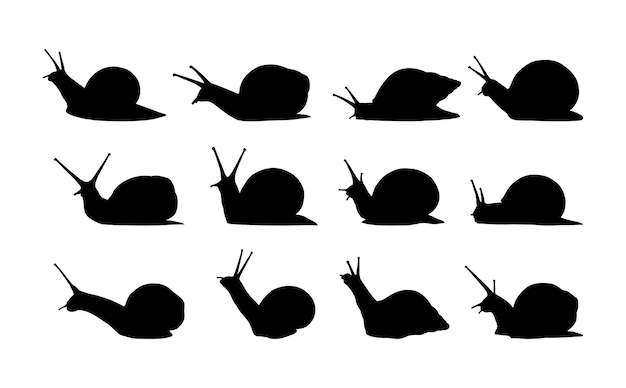 colección de siluetas de vectores de caracoles