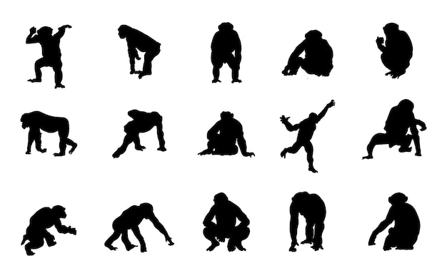 Una colección de siluetas vectoriales de chimpancés para composiciones artísticas.