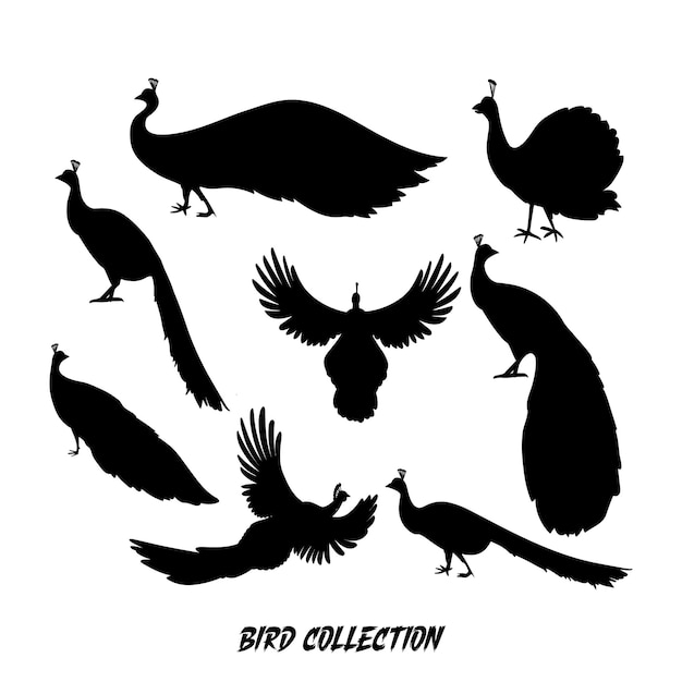 Colección de siluetas voladoras de pájaros paquete y conjunto de pájaras