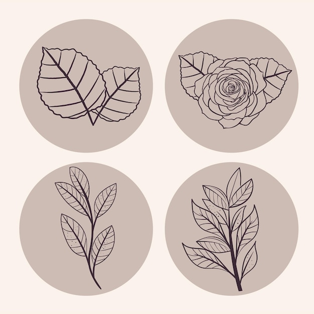 Colección de símbolos de hojas y flores