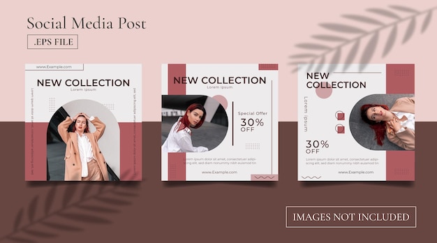 Colección simple de plantillas de publicaciones en redes sociales