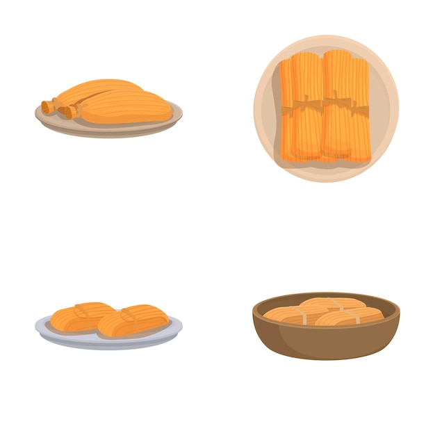 Colección de tamales tradicionales mexicanos