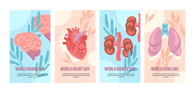 Colección de tarjetas verticales de órganos humanos planos dibujados a mano con hojas