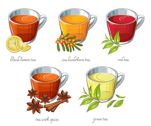 Vector colección de té diferentes tazas de té negro rojo verde té té ilustración realista