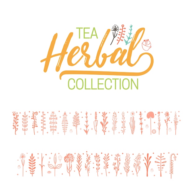 Colección de té de hierbas