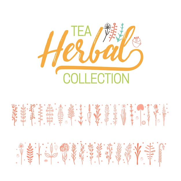 Colección de té de hierbas