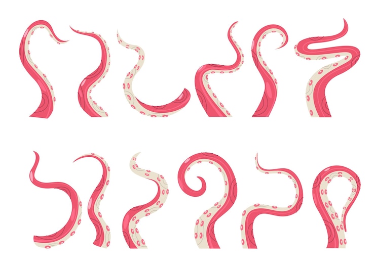 Vector colección de tentáculos de pulpo cefalópodos de divertidos dibujos animados en diferentes poses ilustración colorida y lúdica conjunto gráfico de criaturas marinas vectoriales