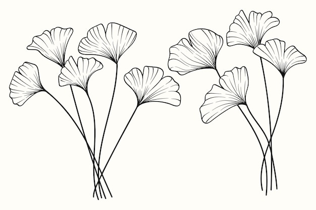 Colección de texturas dibujadas a mano de la línea de arte de la hoja de ginkgo Ilustración vectorial
