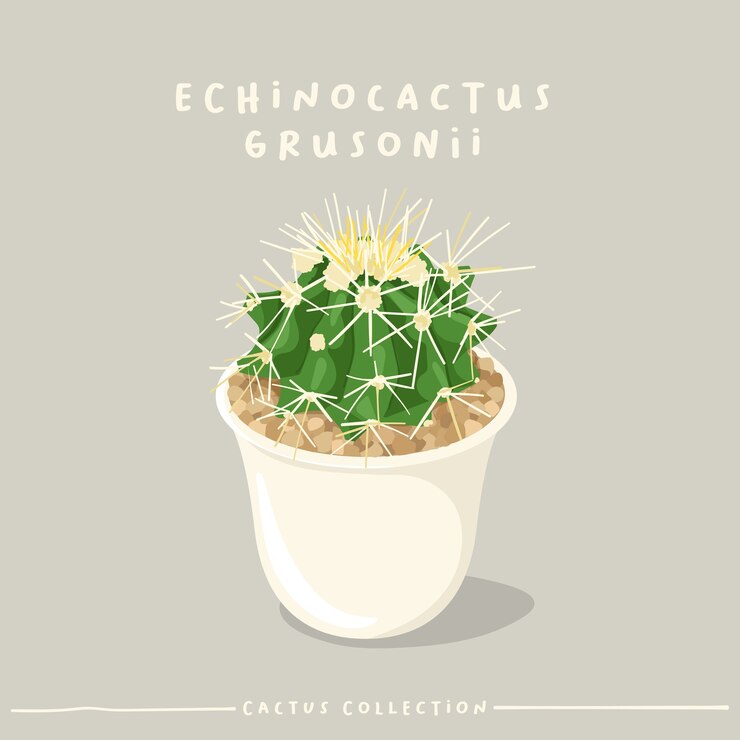 Vector colección tipo cactus. cactus en maceta pequeña blanca aislada sobre fondo beige.