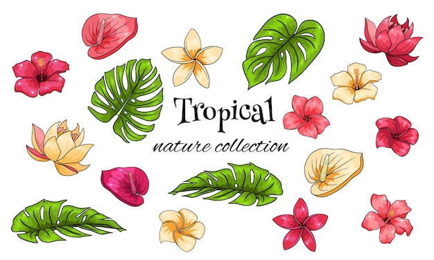 Colección tropical con flores exóticas y hojas talladas en estilo de dibujos animados.