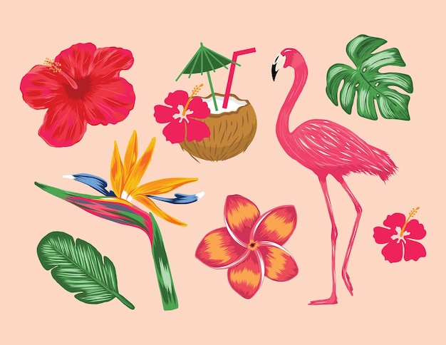 Colección tropical, ilustración, flamenco, monstera, coco, flor, planta, cliparts, vector