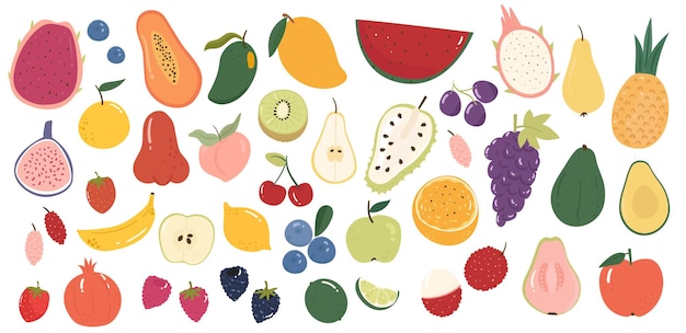 colección de varias frutas lindo dibujado a mano ilustración