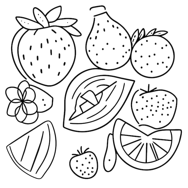 Vector colección de varias frutas para el verano y página de libro para colorear para kdp.