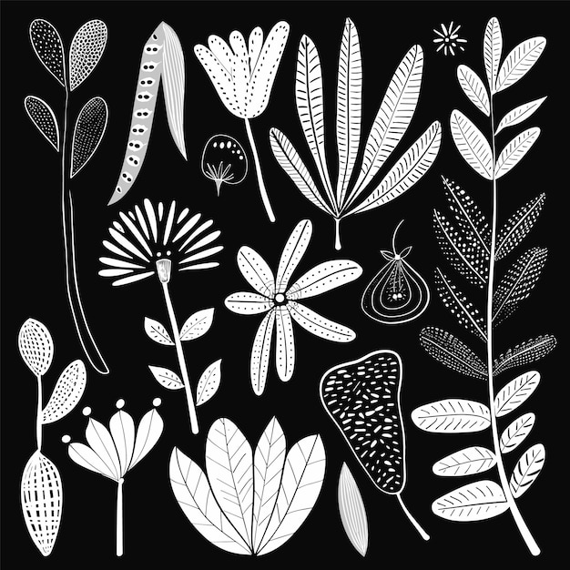Colección de varias ilustraciones botánicas blancas fondo negro diseños florales monocromáticos