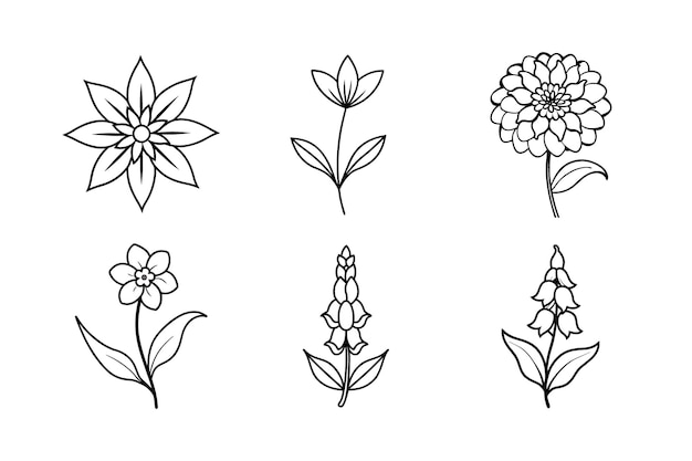 Colección de varias ilustraciones de flores en estilo de arte de línea