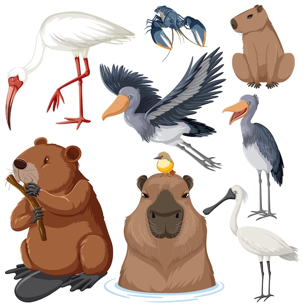 Colección de varios animales de humedales
