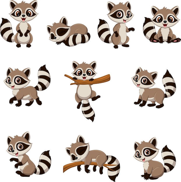 Colección de varios mapaches de dibujos animados con diferentes poses