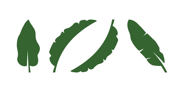 coleccion de vector diseños de hoja de plátano vector hoja plátano diseños